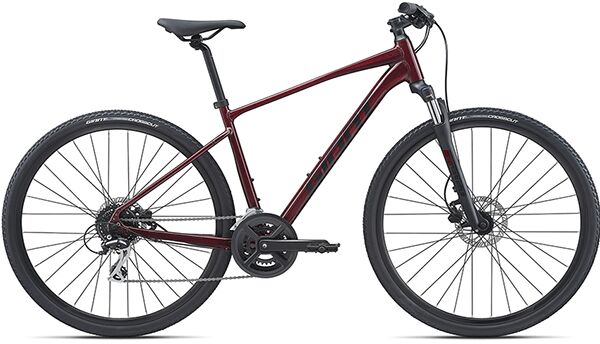 Xe đạp địa hình thể thao Giant Roam 3 Disc 2021